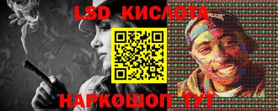 СК Бийск