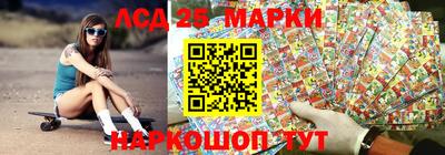 СК Бийск