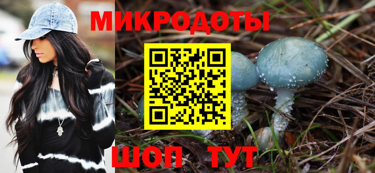 Галлюциногенные грибы Psilocybine cubensis Киров