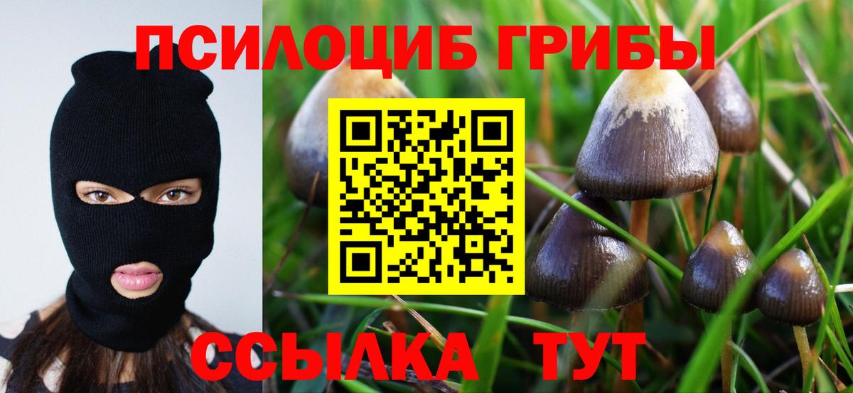 Киров  Псилоцибиновые грибы GOLDEN TEACHER  Псилоцибиновые грибы мухоморы  Вход с VPN 