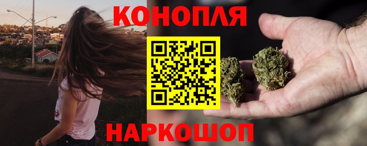 Бошки марихуана сатива Киров